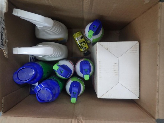 Misc Cleaners and Lantern - Qty - 11