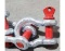 PALADIN 4.75-12T Anchor ShackleG209