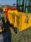 IRD 12 Dumper
