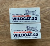 2 Boxes of Winchester .22 LR Ammo