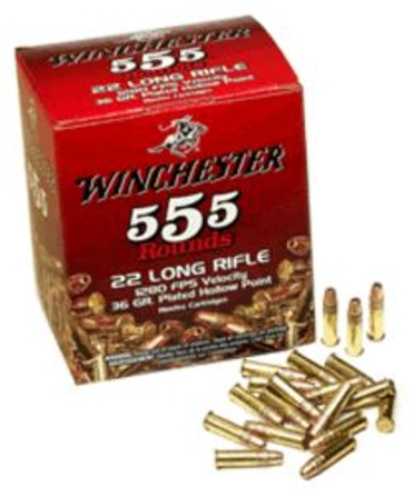 Winchester - 36gr .22LR CPHP - 555 Rounds