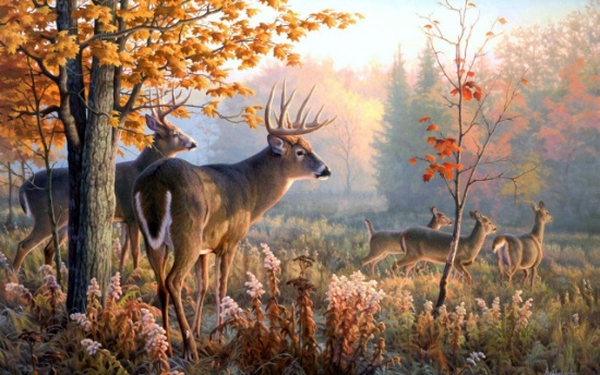 Ultimate Outdoorsman Online Auction