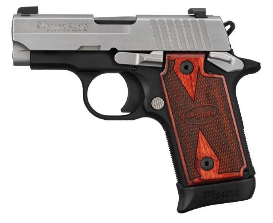 Online Gun & Ammo Auction