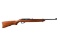 Ruger - 10/22 Carbine - 22 LR