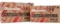 Hornady 80260 Critical Defense 223 Rem 73 Gr Flex Tip Expanding 20 Bx