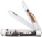 Case 81224 Trapper Sportsman Folding Clip Point/Spey Plain Mirror Polished Tru-Sharp SS Blade/Bird
