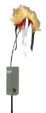 FOXPRO XDECOY