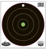 Birchwood Casey 35820 Dirty Bird Bullseye Hanging Tagboard Target 20 Per Pack