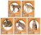 Champion Targets Critter Paper Targets 10 Pack