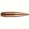 7mm 175gr Elite Hunter Bullet