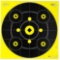 ALLEN 15577 SPLASH BULLSEYE GALLERY / GRID TARGET