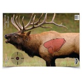 B/C TARGET PREGAME 16.5X24 ELK TARGET 3-TARGETS