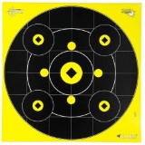 ALLEN 15577 SPLASH BULLSEYE GALLERY / GRID TARGET