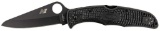 Spyderco Pacific Salt 2 BL/PL
