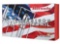 Hornady 82242 American Whitetail 450 Bushmaster 245 Gr Interlock 20 Bx