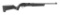 Ruger - 10/22 Carbine - 22 LR
