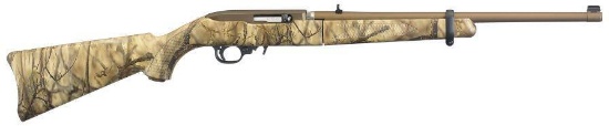 Ruger - 10/22 Takedown - 22 LR
