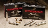 Winchester Ammo Sbst243A Ballistic Silvertip 243 Win 95 Gr Polymer Tip 20 Bx