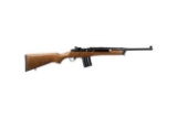 Ruger - Mini-14 Ranch - 223 Rem | 5.56 NATO