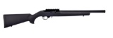 Ruger - 10/22 Carbine - 22 LR