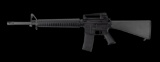 Colt - AR15A4 - 223 Rem | 5.56 NATO