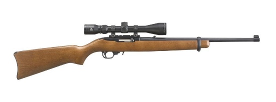 Ruger - 10/22 Carbine - 22 LR
