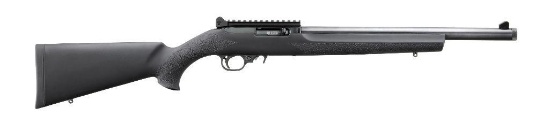 Ruger - 10/22 Carbine - 22 LR