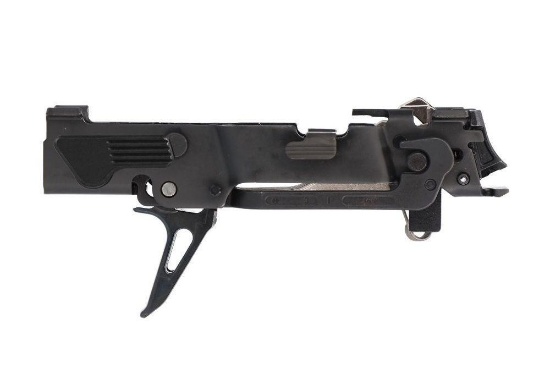 SIG SAUER - P320 Fire Control Unit - No Caliber Listed