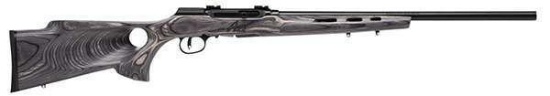 Savage - A Series - .22LR - Target