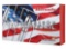 Hornady - American Whitetail - .350 Legend 170GR InterLock - 20 Rounds