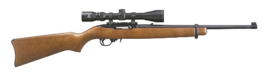 Ruger - 10/22 - .22LR - Carbine