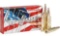 Hornady - American Whitetail - .300 WSM 165GR InterLock Round Nose - 20 Rounds
