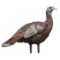 Avian X - LCD - Decoy
