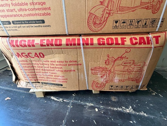 2026 IRGC40 MGC40 2-Passenger Electric Mini Golf Cart Unused / Unassembled