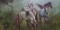 Antique Oil Horses Painting by Cristina Gayo 1984