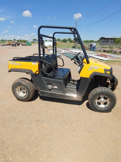 Cowboy Bennche 250 EFI with winch