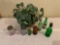 Glass Bottles and Decorative Plants