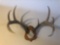 Antler mount