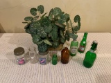 Glass Bottles and Decorative Plants