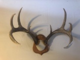 Antler mount