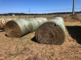 10 Bales of Wheat Hay
