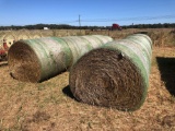 10 Bales of Wheat Hay