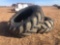 Goodyear Tractor tires 620 70R 42X2
