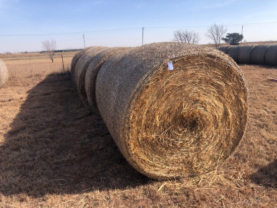10- RED TOP CAN HAY