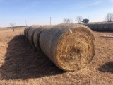 10 bales of red top cane hay...