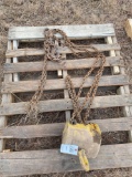 1 ton chain hoist...