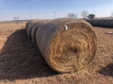 10- RED TOP CANE HAY