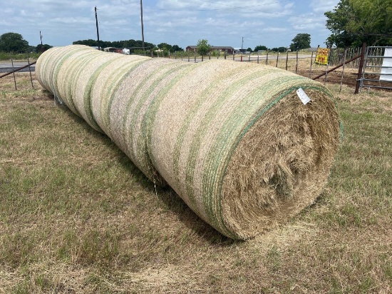 8 bales of good coastal hay. First cutting.... 4X5