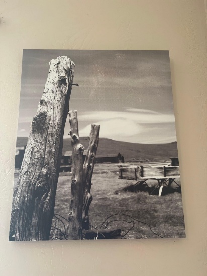 CANVAS PICTURES
