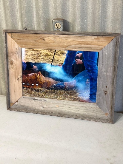 Frames picture of calf branding 19 x 25